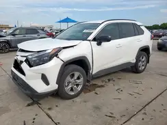 4T3LWRFV2PU108810 2023 TOYOTA RAV 4