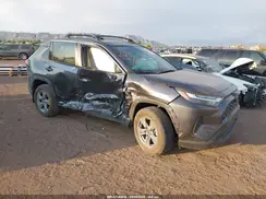 4T3LWRFV2RU117235 2024 TOYOTA RAV 4