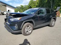 4T3LWRFV2SU179613 2025 TOYOTA RAV 4