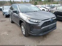 4T3LWRFV3MU041338 2021 TOYOTA RAV 4