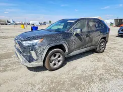 4T3LWRFV3PU091144 2023 TOYOTA RAV 4