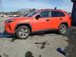 4T3LWRFV3PU097946 2023 TOYOTA RAV 4
