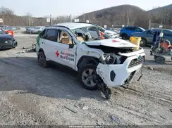 4T3LWRFV3RU113436 2024 TOYOTA RAV 4