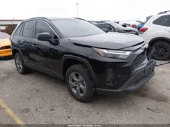 4T3LWRFV3RU125523 2024 TOYOTA RAV 4