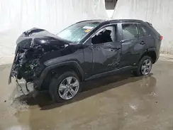4T3LWRFV3RU148719 2024 TOYOTA RAV 4