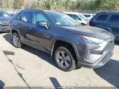 4T3LWRFV4PU083666 2023 TOYOTA RAV 4