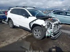 4T3LWRFV4PU084803 2023 TOYOTA RAV 4