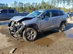 4T3LWRFV4RU129631 2024 TOYOTA RAV 4