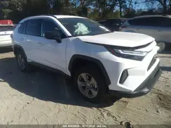 4T3LWRFV4RU153153 2024 TOYOTA RAV 4
