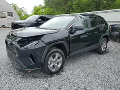 4T3LWRFV4RU157350 2024 TOYOTA RAV 4