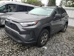4T3LWRFV5RU125829 2024 TOYOTA RAV 4