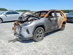 4T3LWRFV5RU136264 2024 TOYOTA RAV 4