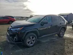 4T3LWRFV5RU145174 2024 TOYOTA RAV 4