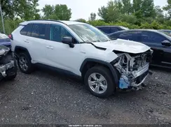 4T3LWRFV6MU012383 2021 TOYOTA RAV 4