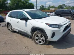 4T3LWRFV6MU016725 2021 TOYOTA RAV 4