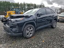 4T3LWRFV6PU085161 2023 TOYOTA RAV 4