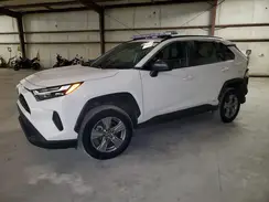 4T3LWRFV6PU096578 2023 TOYOTA RAV 4