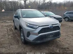 4T3LWRFV6PU097682 2023 TOYOTA RAV 4