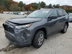 4T3LWRFV6RU142414 2024 TOYOTA RAV 4