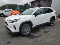4T3LWRFV6SU167402 2025 TOYOTA RAV 4