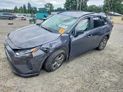 4T3LWRFV6SU186175 2025 TOYOTA RAV 4
