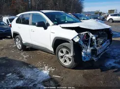4T3LWRFV7MU022081 2021 TOYOTA RAV 4