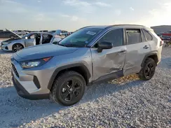 4T3LWRFV7MU046509 2021 TOYOTA RAV 4