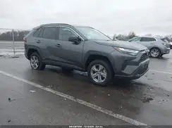 4T3LWRFV7PU090191 2023 TOYOTA RAV 4