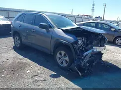 4T3LWRFV7RU117781 2024 TOYOTA RAV 4