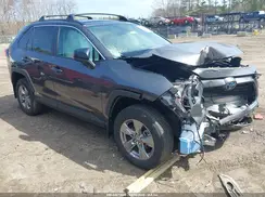 4T3LWRFV7RU133494 2024 TOYOTA RAV 4