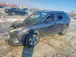 4T3LWRFV7RU134368 2024 TOYOTA RAV 4