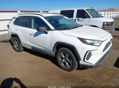 4T3LWRFV7RU151543 2024 TOYOTA RAV 4