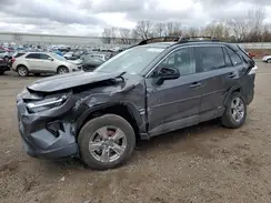 4T3LWRFV7RU160372 2024 TOYOTA RAV 4