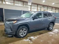 4T3LWRFV7SU189179 2025 TOYOTA RAV 4