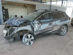 4T3LWRFV8PU105135 2023 TOYOTA RAV 4