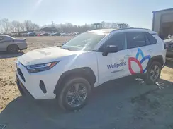 4T3LWRFV8RU159022 2024 TOYOTA RAV 4