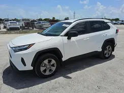 4T3LWRFV9RU143332 2024 TOYOTA RAV 4