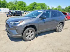 4T3LWRFV9SU186770 2025 TOYOTA RAV 4