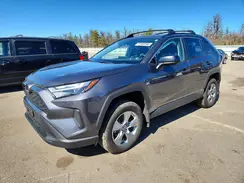 4T3LWRFV9SU192830 2025 TOYOTA RAV 4