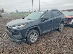 4T3LWRFV9SU210503 2025 TOYOTA RAV 4