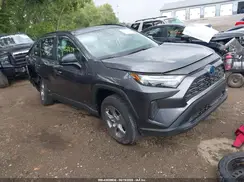 4T3LWRFVXRU117614 2024 TOYOTA RAV 4