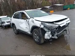 4T3LWRFVXRU130654 2024 TOYOTA RAV 4