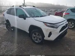 4T3LWRFVXRU144456 2024 TOYOTA RAV 4