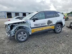 4T3LWRFVXRU153996 2024 TOYOTA RAV 4