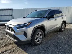 4T3LWRFVXRU155201 2024 TOYOTA RAV 4