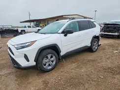 4T3LWRFVXSU173056 2025 TOYOTA RAV 4