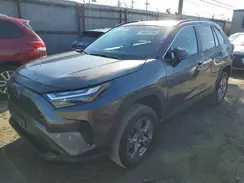 4T3LWRFVXSU174997 2025 TOYOTA RAV 4