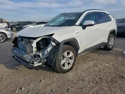 4T3M6RFV9MU007182 2021 TOYOTA RAV 4