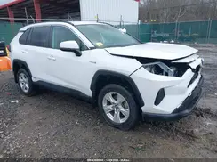 4T3M6RFVXMU022760 2021 TOYOTA RAV 4