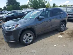 4T3MWRFV0RU116069 2024 TOYOTA RAV 4